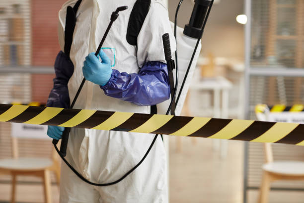 Professional Odor Removal technician working in Hubbardston, MI